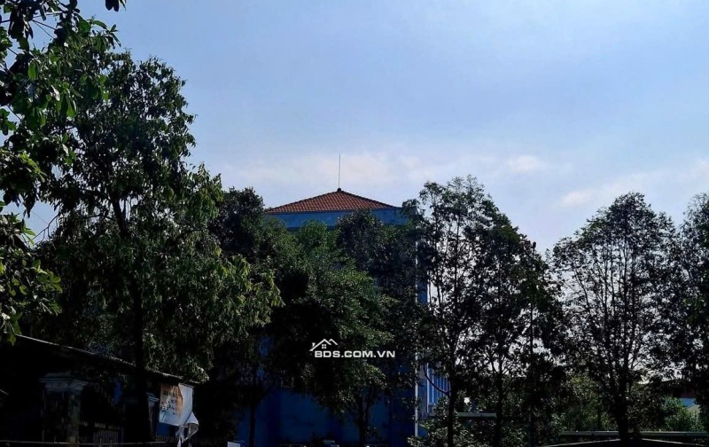 SIÊU PHẨM THU NHẬP THỤ ĐỘNG - 14 PHÒNG TRỌ + KI-ỐT ĐƯỜNG D12 KDC MỸ PHƯỚC 1