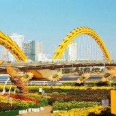 Đất đường Đông Giang, Sơn Trà