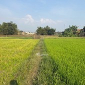 Đất thổ shr Tân Mỹ gần Vingroup Suối Tiên Sân Golf  sát Tỉnh Lô