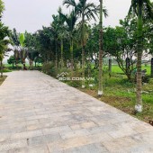 Gia đình bán 522 m² đất ruộng. Xã Dũng Tiến, Thường Tín, Hà Nội (Xã Thượng Phúc)