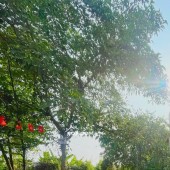 GIÁ TỐT HIẾM! ĐẤT LONG TRƯỜNG 74M² – 4.1 TỶ