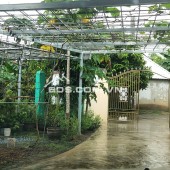 Bán nhà vườn 150m2 Diên Lạc - Cách Tỉnh lộ 2 chỉ 2 phút - Sổ hồng chính chủ