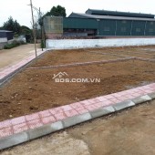 CẦN BÁN GẤP – LÔ ĐẤT VÀNG TRỤC CHÍNH TRẠI LÁNG – GẦN TOMODACHI LÀNG MÍT