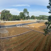 CẮT LÔ 300TR BÁN NHANH 100M2 THÔN 6 TÂN XÃ, HÒA LẠC.