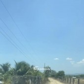 Cần chuyển nhượng lô đất lý tưởng cho mô hình trang trại tại Thôn 2, xã Hồng Sơn,Lâm Đồng