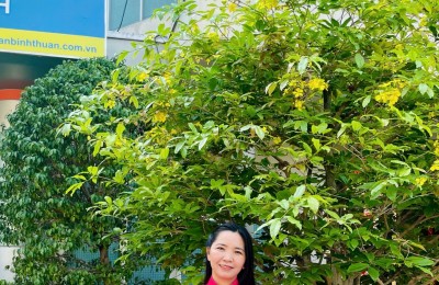 BÁN NHẢ Ở XÃ HỘI KHU ĐÔ THỊ NAM PHAN THIẾT - XÃ TUYÊN QUANG - TỈNH LÂM ĐỒNG  (BÌNH THUẬN CŨ)