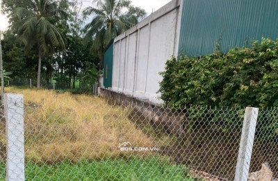 Bán đất nền mặt tiền đường NC - QX giá 1.690 tỷ TL xã Tế Nông huyện Nông Cống cũ