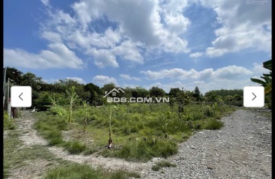 Cho thuê đất MT đường 7m rộng 1 mẫu tại ĐS 812, Xã Phú Mỹ Hưng, Củ Chi