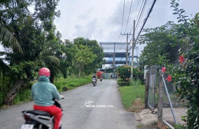 Bán đất mặt tiền đường kinh doanh (5×36m) 178m2. Có 133m thổ cư - Đường nhựa lớn 2 xe tải tránh