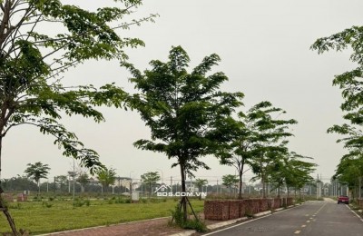 Thanh lý lô đất 100m2 gần Đại học Quốc Gia, khu vực trung tâm Hòa Lạc. Phù hợp xây trọ, đầu tư sinh lời, kết nối Metro 5 – Quốc Lộ 21. Liên hệ xem