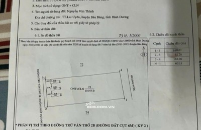 ĐẤT VÀNG BÀU BÀNG – QUỸ ĐẤT SIÊU HIẾM – ĐẦU TƯ ĐA DẠNG, SINH LỜI BỀN VỮNG