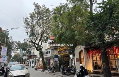 Quang Trung – Trần Quốc Toản 490M2 MT 15M 390 Tỷ 1 Sổ 1 Chủ Không Có Yếu Tố BT