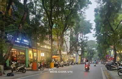 CẦN BÁN NHÀ PHỐ HUỲNH THÚC KHÁNG -72 M2 - 7 TẦNG - MT 16M - GIÁ 56 TỶ