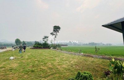  Chỉ hơn 300 TRIỆU sở hữu ngay đất gần trung tâm kinh tế Ba Đồi – Lạc Thủy