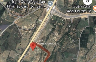 Bán 8,2 ha đất trồng cây lâu năm