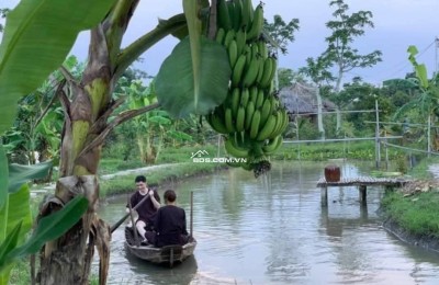 Bán hoặc cho thuê homestay nghĩ dưỡng Cần Thơ