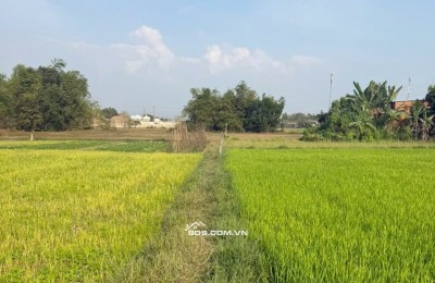 Đất thổ shr Tân Mỹ gần Vingroup Suối Tiên Sân Golf  sát Tỉnh Lô