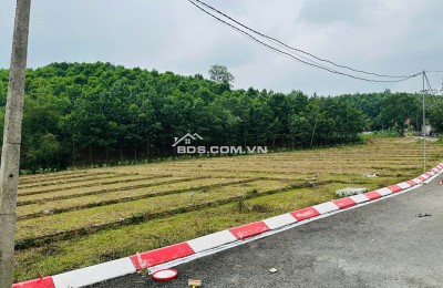 Sở hữu lô đất giá rẻ tại an Bình Lạc Thủy Hòa Bình chỉ với 225 triệu