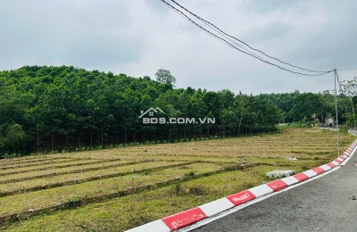 Giá chỉ từ 245tr sở hữu ngay lô đất nền giá tốt tại trung tâm Xã An Bình