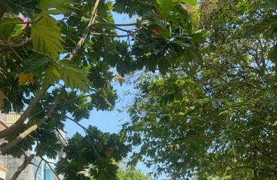 ĐẤT NỀN KDC AN PHÚ TÂY - 100M² THỔ CƯ -  CẮT LỖ SÂU GIÁ 2.8 TỶ