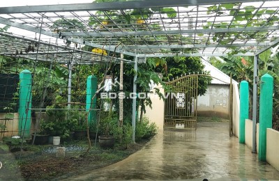 Bán nhà vườn nghỉ dưỡng 150m2 Diên Lạc - Cách Tỉnh lộ 2 chỉ 2 phút - Sổ hồng chính chủ