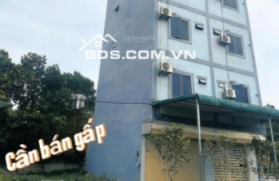 Bán đất chính chủ tại Xã Cổ Đông, Sơn Tây, Hà Nội, 30 triệu/m2, S= 100 m2 full thổ cư