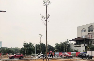 CẮT LỖ ĐẤT HÒA LẠC - CÁCH QL21 CHỈ 150M