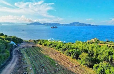 bán đất nghĩ dưỡng tại Gành Đá Đĩa Phú Yên