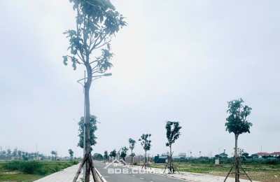 4ty850 CẦN BÁN LÔ XẺ KHE KĐT HOÀNG LÝ – HOÀNG ĐÔNG DUY TIÊN HÀ NAM