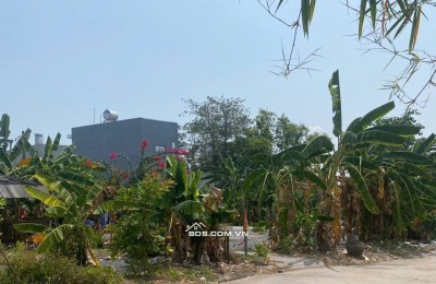 bán Gần 1900m2 đất  Trung Tâm đường Đặng văn bi ,  P.bình thọ thủ đức .giá chỉ 35tr/m2