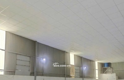 CẦN BÁN GẤP KHO XƯỞNG MỚI ĐẸP - TÂN PHÚ TRUNG, CỦ CHI-1 tỷ 200triệu