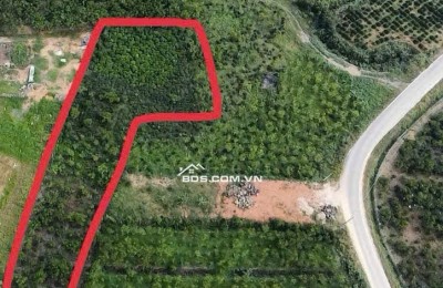 BÁN ĐẤT VIEW ĐẸP TẠI TP. BẢO LỘC – GIÁ CHỈ 1,4 TỶ/SÀO