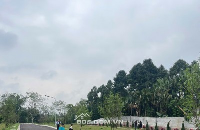 CHỈ TỪ 360 TRIỆU – ĐÓN ĐẦU SÓNG QUY HOẠCH SUN GROUP KIM BÔI!