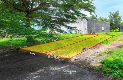 Đất Thổ Cư Long Hòa – Gần Chợ, Trường Học – Không Gian Sống Xanh Trong Lành.