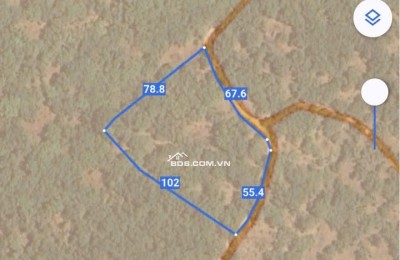 BÁN VƯỜN MÍT TẠI ĐỒNG NAI MỚI DT 5.891M2 SHR CHỈ 50TR/1000M2. LH:0869560747