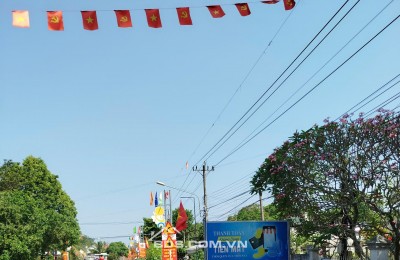 Đất sào đường nhựa 1 sẹc gần đường DH507, Phú Giáo, 3426,6m2, sát bên trường học An Linh