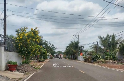 Bán gấp lô đất vàng 4196m2 - 650m2 thổ cư mặt tiền nhựa tttp đồng xoài. lh:0985962304.