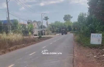 CHỦ GỬI BÁN GẤP LÔ ĐẤT ĐỒNG PHÚ, BÌNH PHƯỚC (cũ) – SỔ RIÊNG SẴN