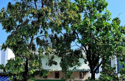 SIÊU PHẨM THU NHẬP THỤ ĐỘNG - 14 PHÒNG TRỌ + KI-ỐT ĐƯỜNG D12 KDC MỸ PHƯỚC 1