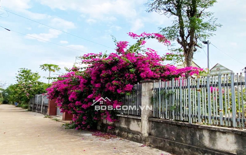 ĐẤT NỀN THỌ TÂN – P XUÂN LỘC – ĐN. GIÁ CHỈ 490Tr. 100% OĐT