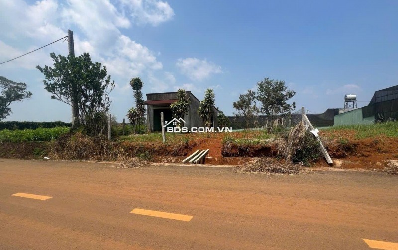 SỞ HỮU NGAY ĐẤT NỀN NGHỈ DƯỠNG 559M² SẴN THỔ CƯ TẠI DAMBRI, BẢO LỘC