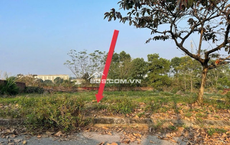 100m2 Tái Định Cư Vai Réo, giá cắt lỗ