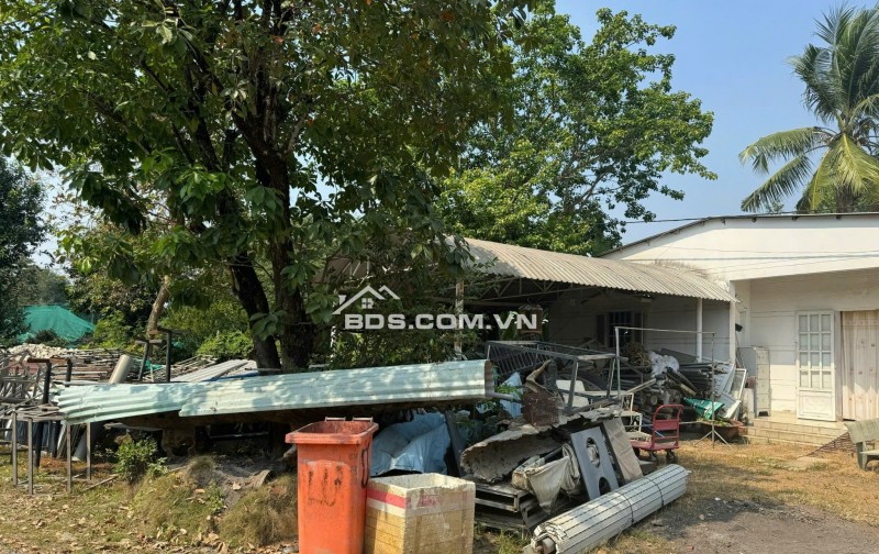 BÁN ĐẤT LONG BÌNH, QUẬN 9 - DT 1000M2 - SHR - 38.5 TỶ. LH:0907511230 - 0908334579.