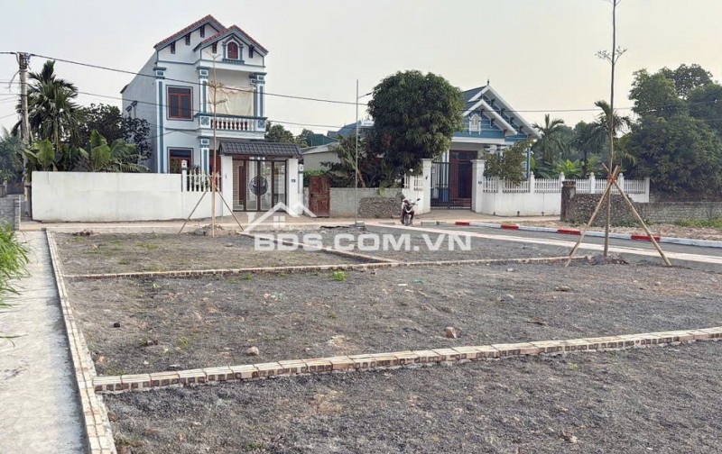 Biệt thự 5T thang máy Bắc Linh Đàm DT230m2, 68 tỷ Hoàng Mai