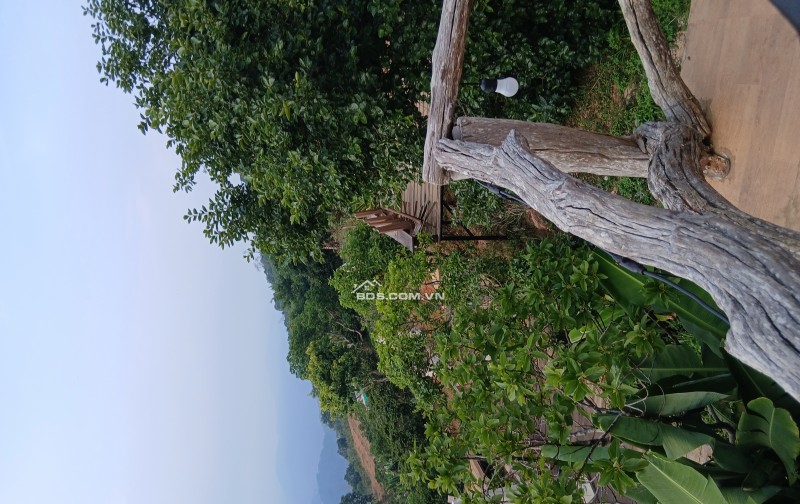 Bds săn mây cầu đất xuân trường ngộp  giảm sốc 1 tỷ còn 6 tỷ