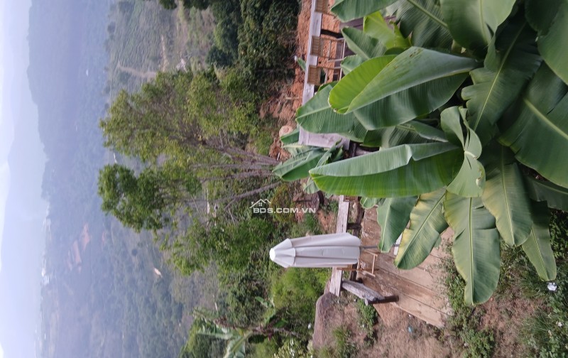 Bds săn mây cầu đất xuân trường ngộp  giảm sốc 1 tỷ còn 6 tỷ