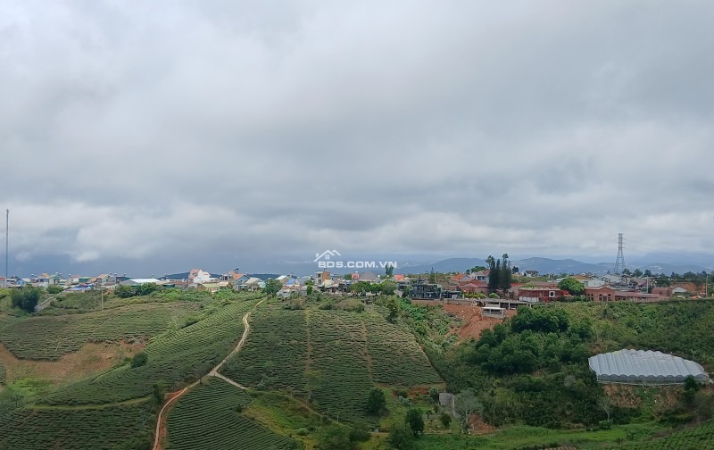 Bds săn mây cầu đất xuân trường ngộp  giảm sốc 1 tỷ còn 6 tỷ
