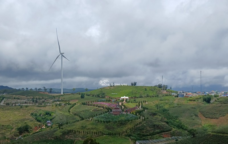 Bds săn mây cầu đất xuân trường ngộp  giảm sốc 1 tỷ còn 6 tỷ