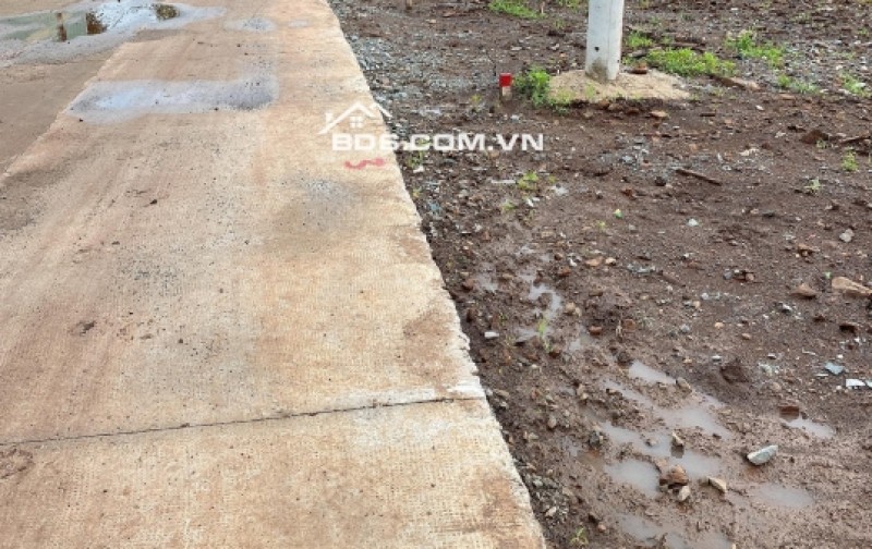 1)	Bán đất nông nghiệp tại đường Điện Biên Phủ, Thị trấn Lạc Tánh, huyện Tánh Linh, tỉnh Bình Thuận