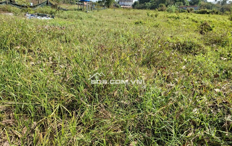 Bán đất nông nghiệp tại đường Điện Biên Phủ, Thị trấn Lạc Tánh, huyện Tánh Linh, tỉnh Bình Thuận